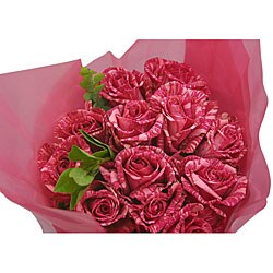 Pink Intuition Roses (72 Stems)