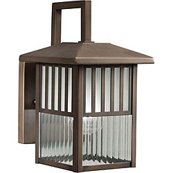 Brushed Nickel 1-light Outdoor Wall Light