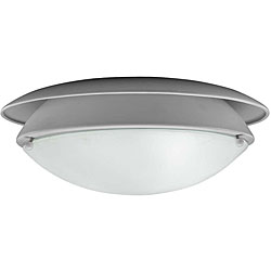 White Flush-mount 2-light Fixture