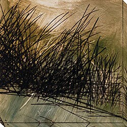 Caroline Ashton 'Nest Series I' Gallery-wrapped Art