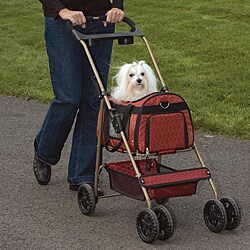 Cruising Companion Uptown Dual-purpose Stroller