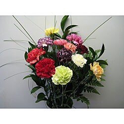 Simply Carnation Bouquet (12 Stems)
