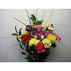 Simply Carnation and Pompon Bouquet (12 Stems)