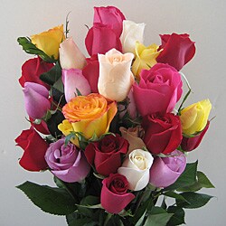 Two-for-one Assorted Colored Rose Stimulus Package