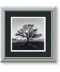 Adams 'Oak Tree, Sunrise, 1966' Framed Art Print