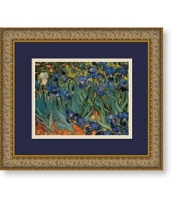 Vincent van Gogh 'Les Irises' Framed Art Print