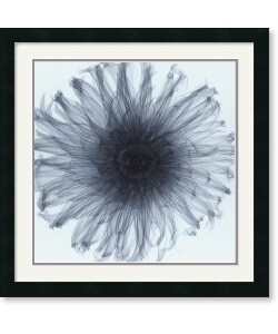 Steven N. Meyers 'Dahlia' Framed Art Print