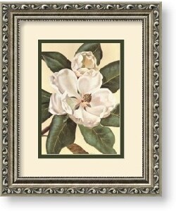 Von Schwarzbek 'Afternoon Magnolia' Framed Art Print