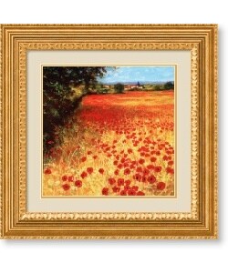 Steve Thoms 'Field of Red and Gold' Framed Art Print