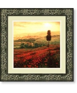 Steve Thoms 'Shades of Poppies' Framed Art Print