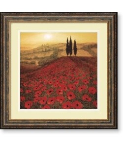 Steve Thoms 'Poppy Field' Framed Art Print