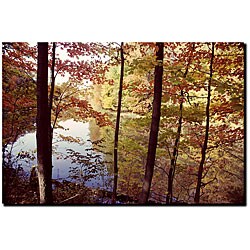Kurt Shaffer 'A Secret Pond' Gallery-wrapped Art