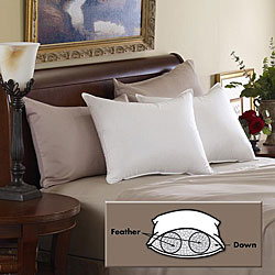 Dual Chamber Ultra Support Pillows (Set of 2)