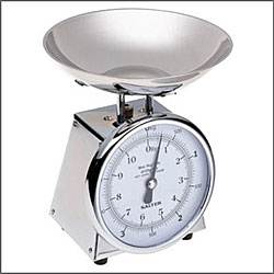 Salter Metal-body Kitchen Scale