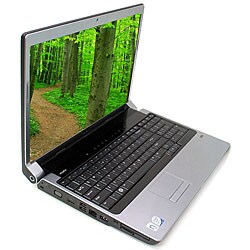 Dell 17.1-inch 2.0GHz 320GB Laptop Computer (Refurbished)