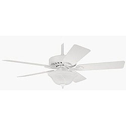Hunter Pro's Best 5-minute 52-inch Fan 