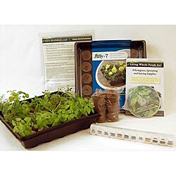 Indoor Herbal Tea Herb Garden Starter Kit