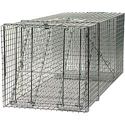 Havahart Professional Large Humane Trap with Single Door