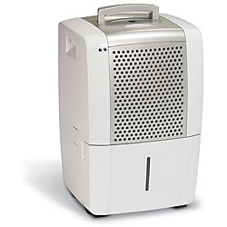 Frigidaire 25-pint Portable Dehumidifier