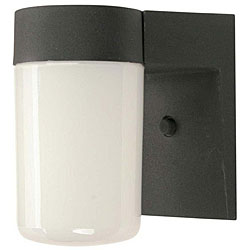 Black Diecast Aluminum Outdoor Wall Light