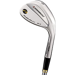 Adams Pugillei Wedge