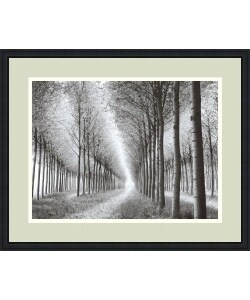 Chip Forelli 'Tree Parade, 2003' Framed Art Print