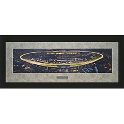 NASCAR 'Daytona Speedway Night' Framed Panoramic Photo