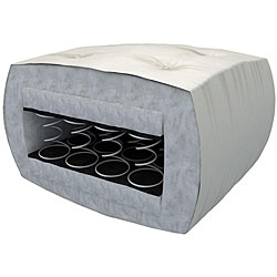 Evolution Spring 1 Queen-size Futon Mattress with Cotton Cover