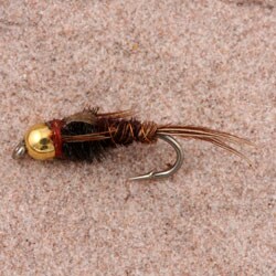 Tungsten Bead Pheasant Tail Fishing Fly