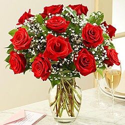 Red Roses