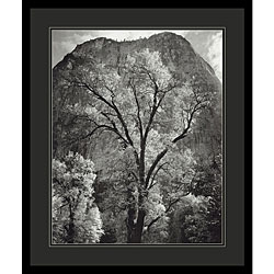 Ansel Adams 'Autumn Tree Against Cathedral Rocks, Yosemite' Framed Art Print