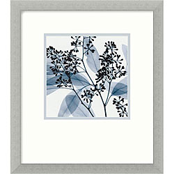 Steven N. Meyers 'Eucalyptus II' Framed Art Print