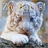 Zooborns! (Hardcover)