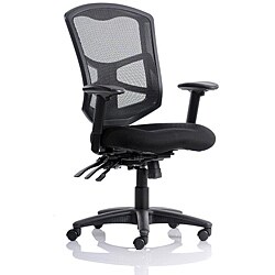 Ergo Mesh High Back Multi-Function Chair