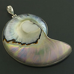 Sterling Silver Huge Ocean Shell Pendant (Indonesia)