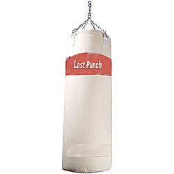 Pro Quality Canvas Punching Bag