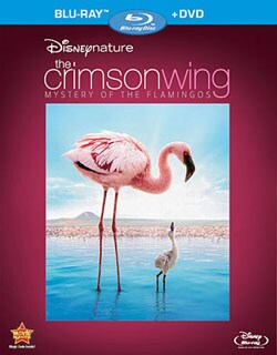 The Crimson Wing: Mystery of the Flamingos with DVD Copy (Blu-ray Disc)