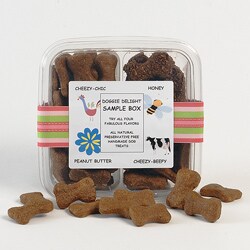 Emma Doodles Doggie Delight Dog Treat Sample Box