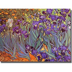 Vincent van Gogh 'Iris Garden' Unframed Canvas Art