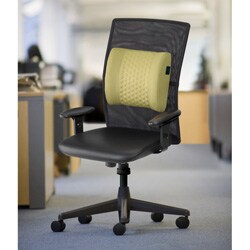 Bodipedic Vibes Vibrating Lumbar Support Back Rest