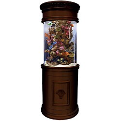 Pearl 60-gallon Complete Aquarium System