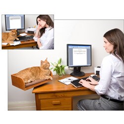 The Refined Feline Kitt-in Box Desktop Cat Bed