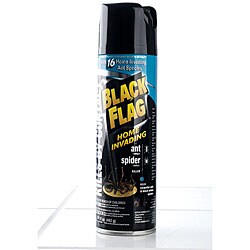 Black Flag 17-oz Home Invading Ant & Spider Killer (Pack of 4)