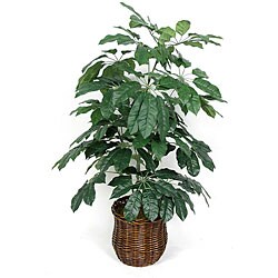 Silk 4-foot Giant Schefflera Plant