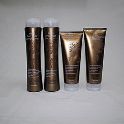 Brazilian Blowout Complete Care 4-pc Hair Set