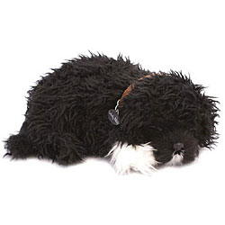Perfect Petzzz Portuguese Water Dog Lifelike Puppies (Pack of 12)