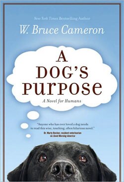 A Dog's Purpose (Paperback)