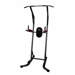 Pure Fitness Power Tower