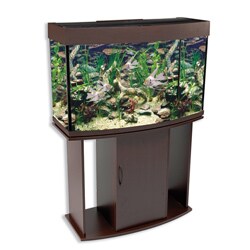 North Star Bow Front 58-gallon Aquarium and Stand