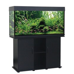 Delta Queen 75-gallon Aquarium and Stand
